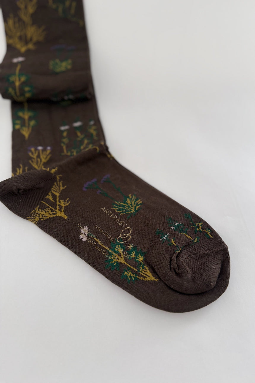 ANTIPAST×GASA*　植物標本ソックス
