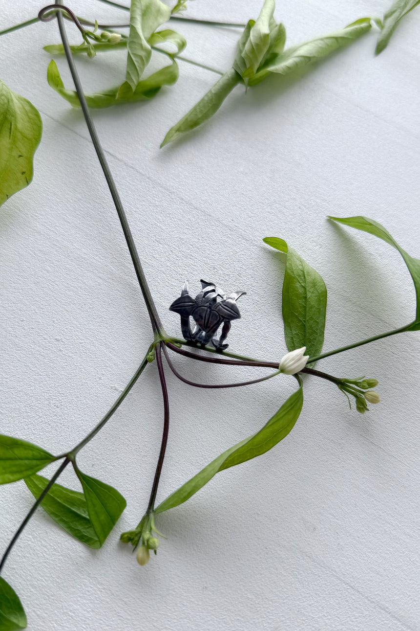 植物の刻印　羽織
